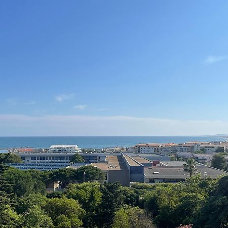 Spacieux T3 Terrasse Vue Mer セット エクステリア 写真